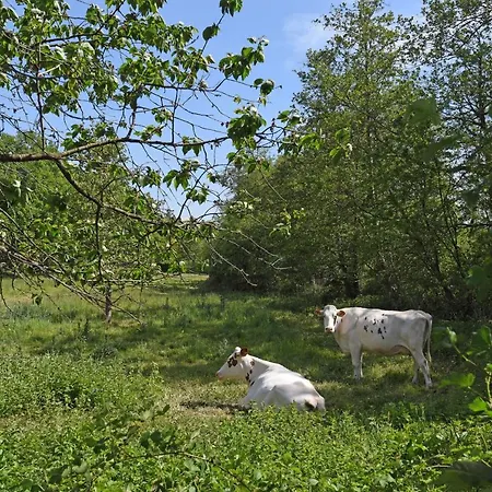 Bed & Breakfast Bleeke Hoeve *